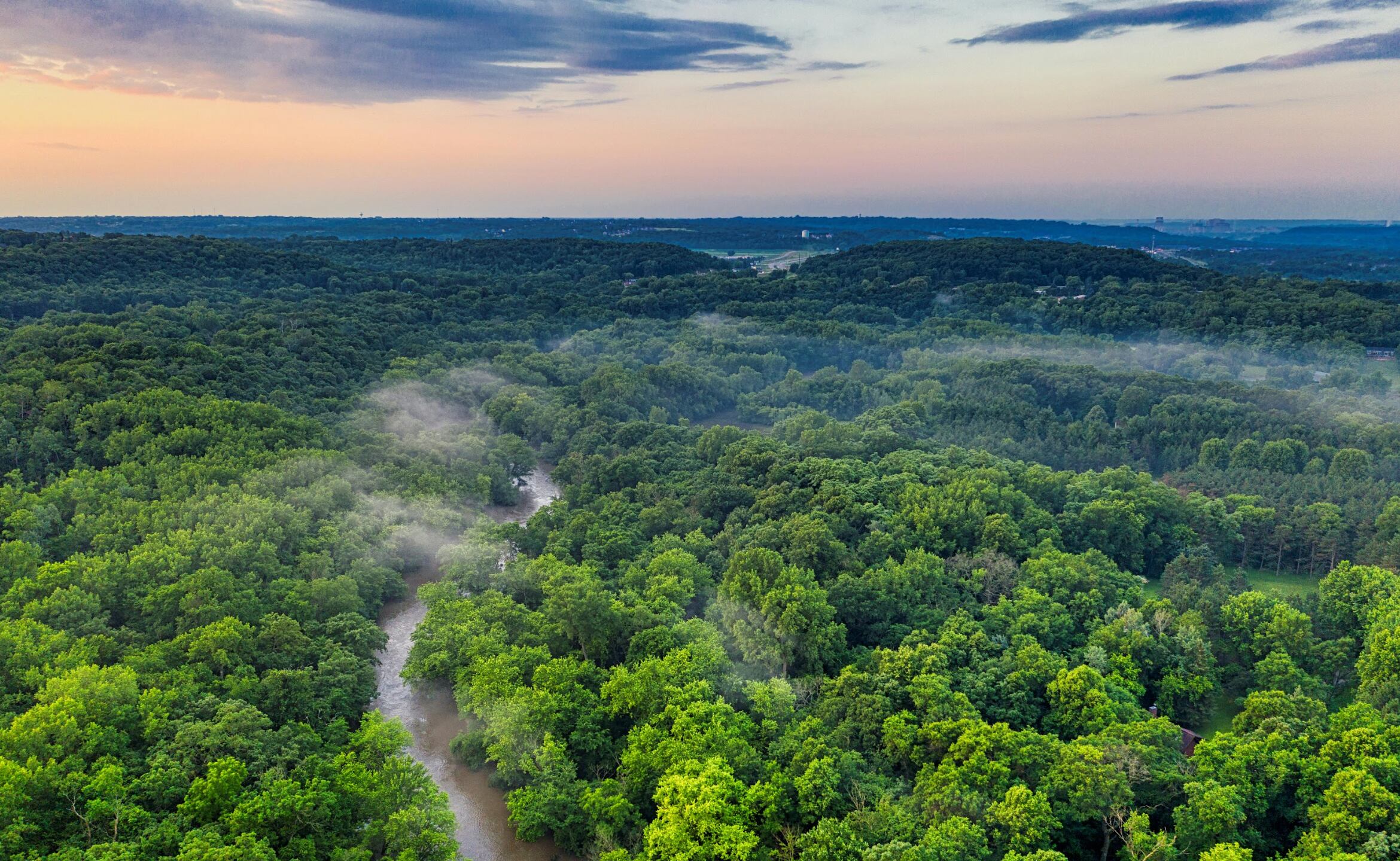 ¿Qué esperar del medioambiente este 2025?