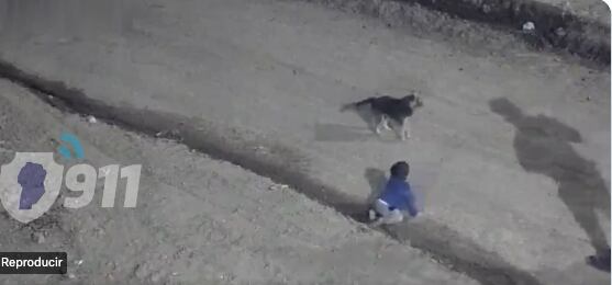 Rescatan a un bebé que gateaba solo por las calles en plena madrugada