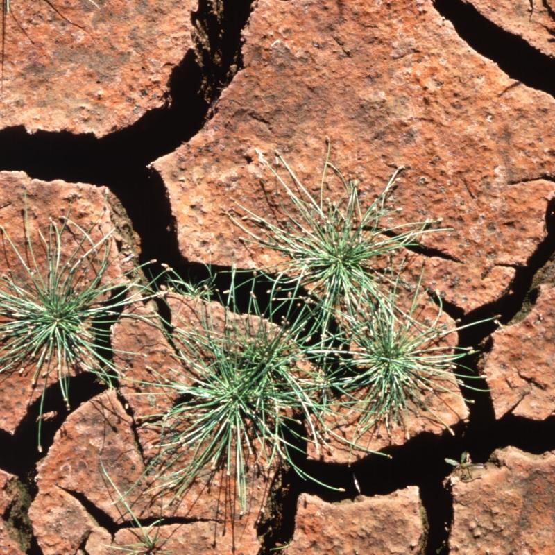 La guerra por el agua en Francia ha comenzado con una sequía excepcional