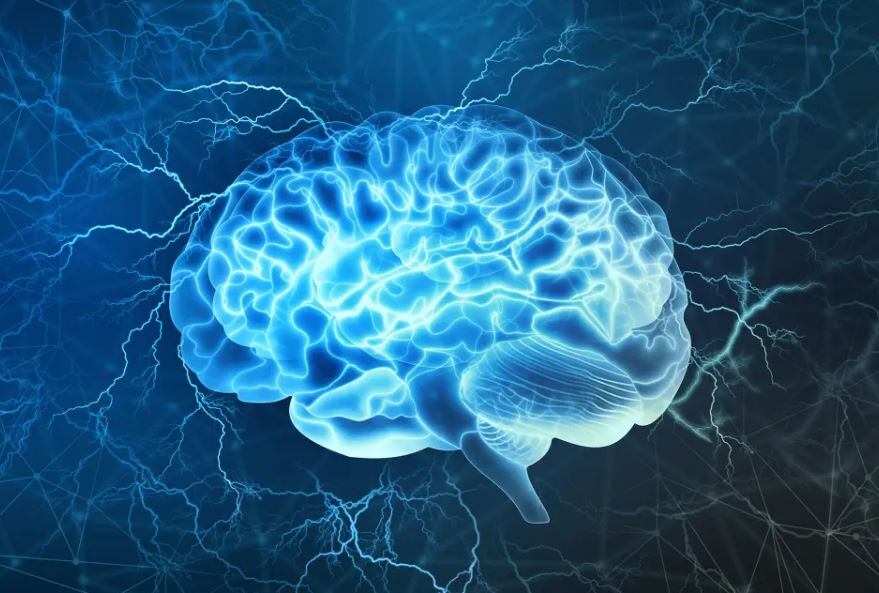 Psiquiatra estadounidense demuestra como el cerebro de los hombres se reduce en las mañanas y se recupera en las noches