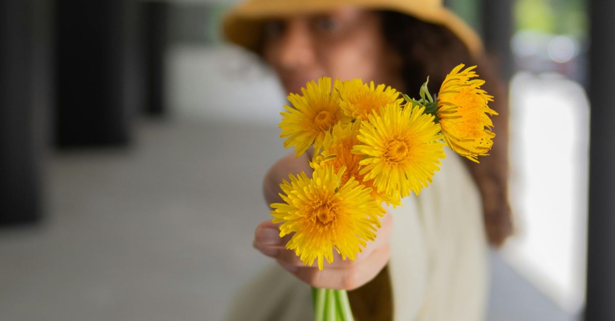 La razón por la que se regalan flores amarillas el 21 de marzo: involucra a una famosa novela