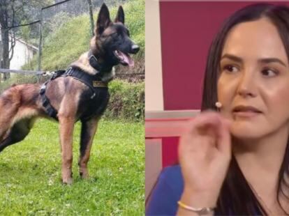 ¿Quién es la colombiana que afirma ‘hablar con animales’ y opinó sobre el perro “Wilson”?